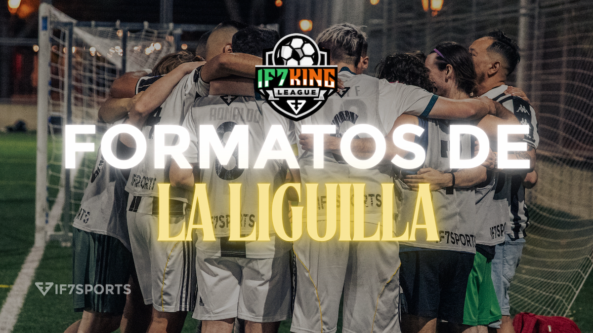 Formats de la liguilla